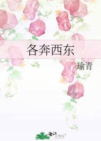 僵尸跳跳跳