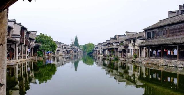 植物大战僵尸19